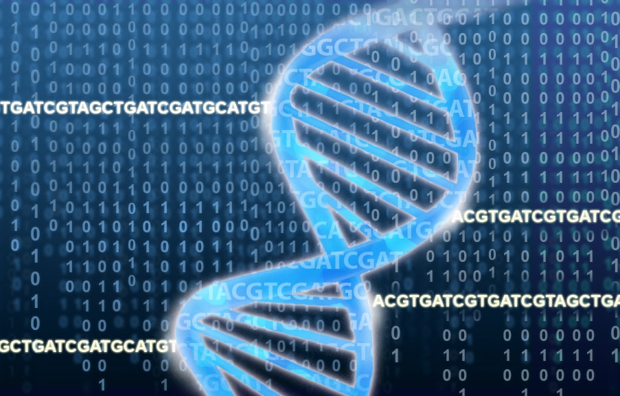 DNA encoding